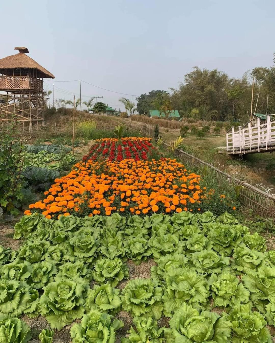 Bogibil Eco Resort New ديبروجاره المظهر الخارجي الصورة